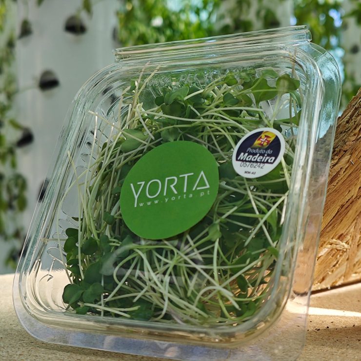 Microgreens Yorta, Madeira